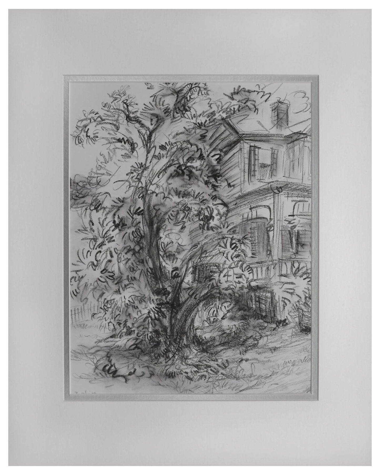 Magnolia Tree, Deep River, CT