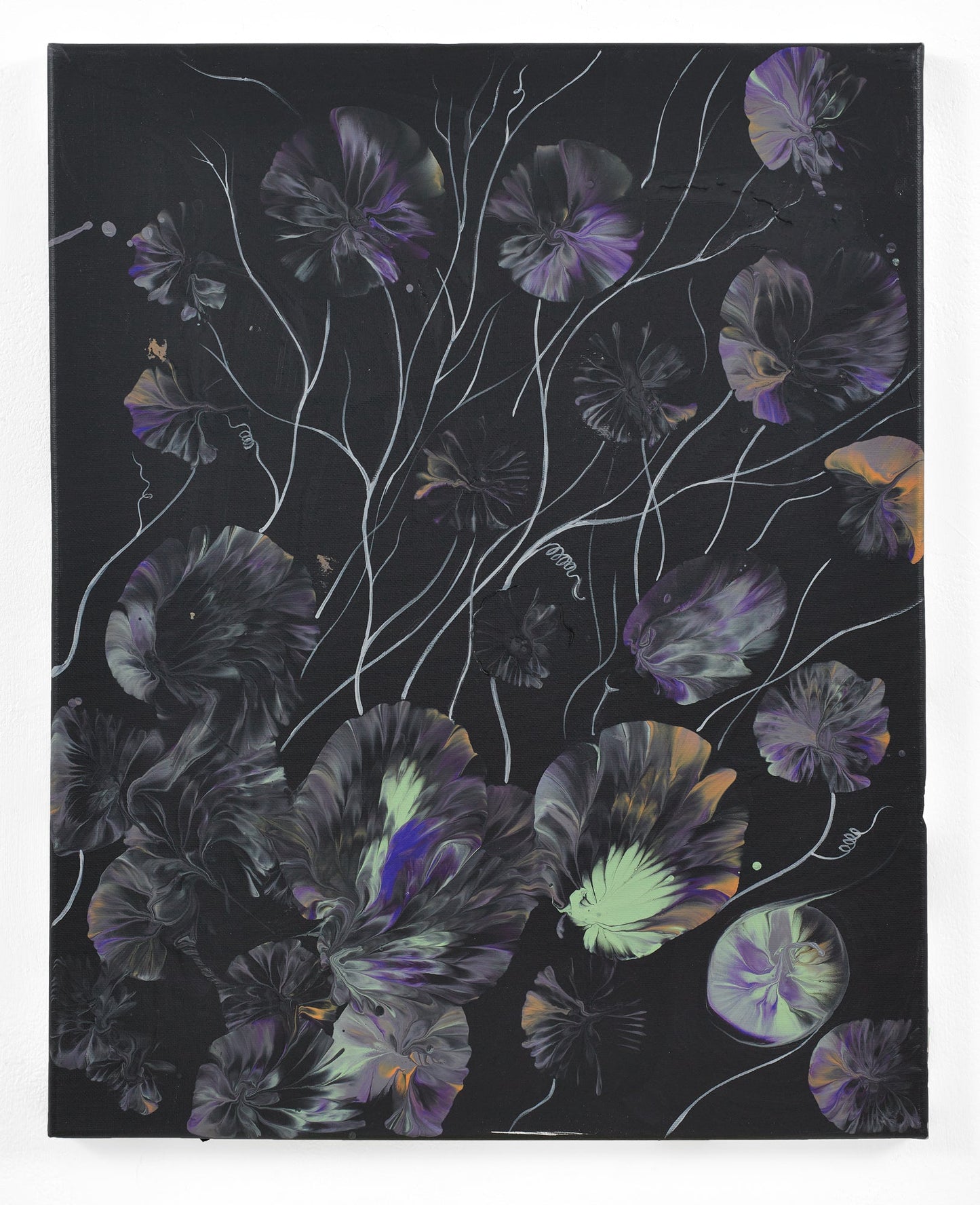 Untitled (nasturtium forms)