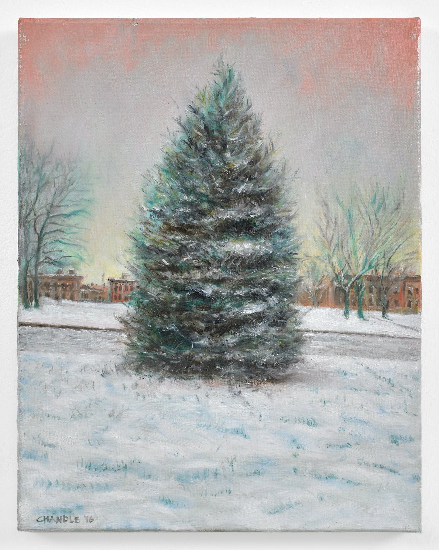 A Tree In Sunset Park