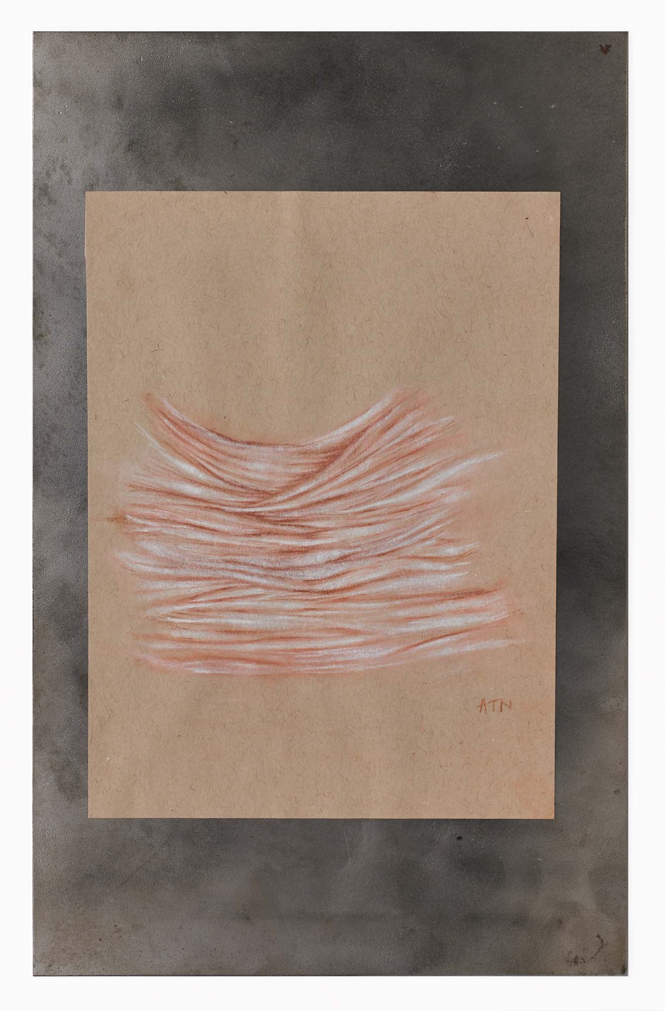 Study #31