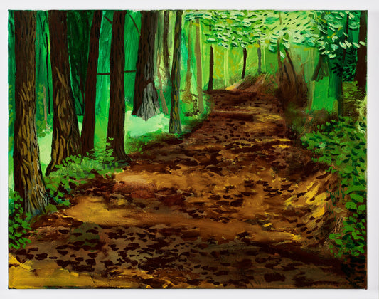 Trail in the Woods