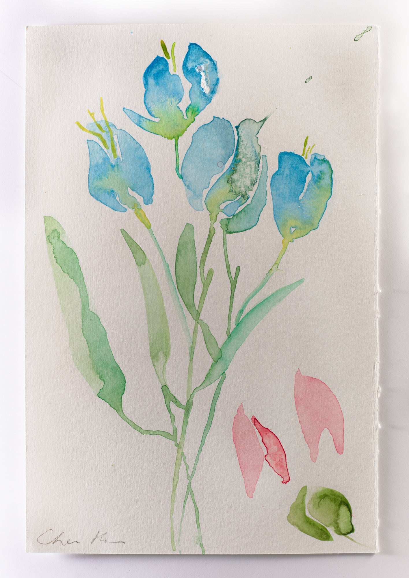 Blue Tulips