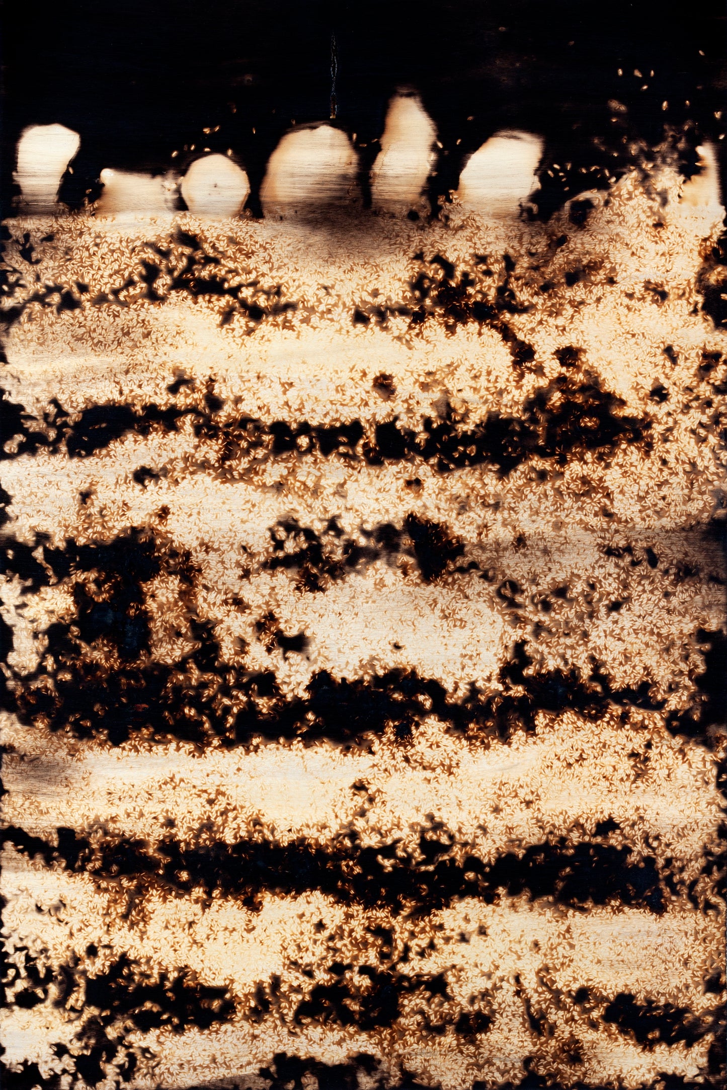 Afterlife Gowanus IV