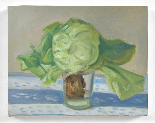 Cabbage