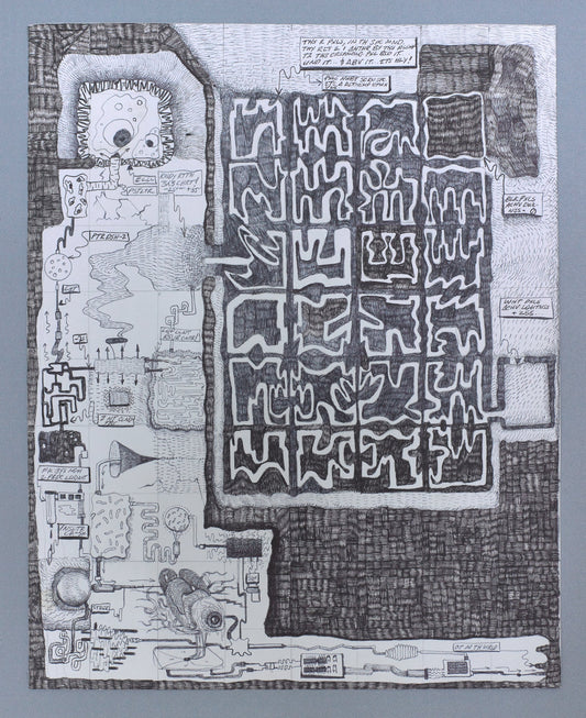 Diagraphein_11