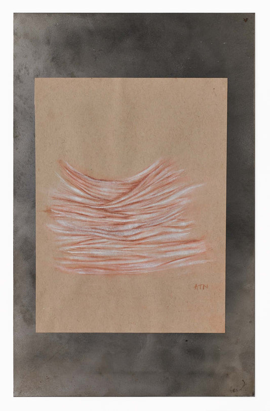 Study #31